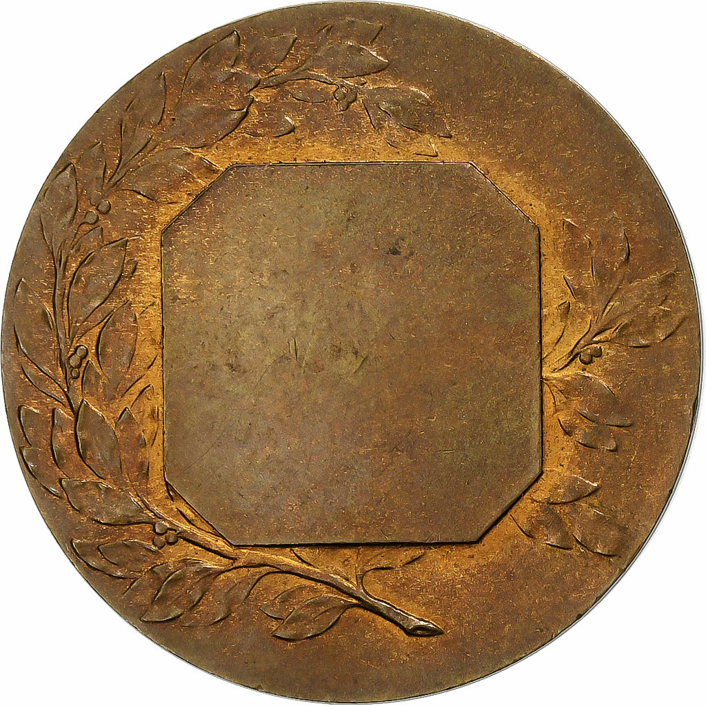 Frankrijk, Token, Notaires, Bronzen, Coudray, ZF+