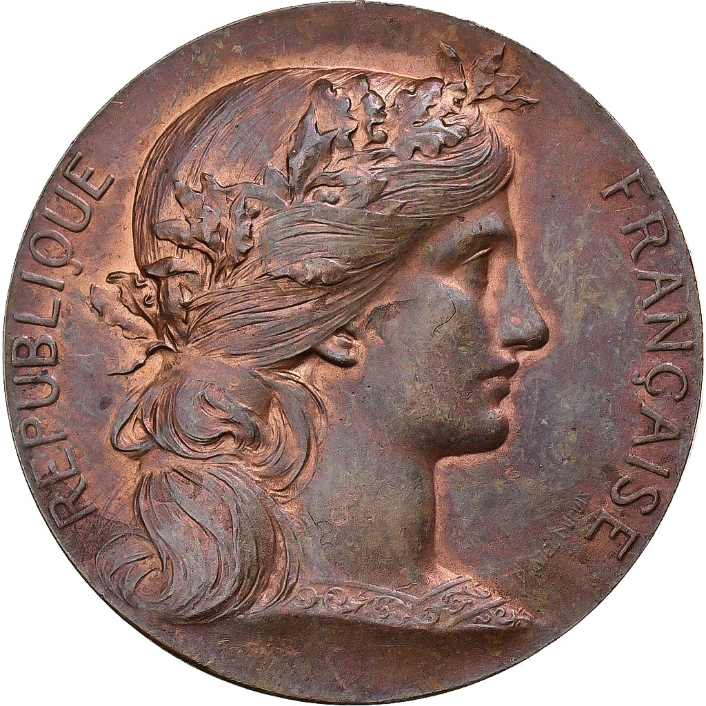 Frankreich, betaalpenning, Notaires de l'Arrondissement d'Amiens, Bronze