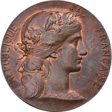 Frankreich, betaalpenning, Notaires de l'Arrondissement d'Amiens, Bronze