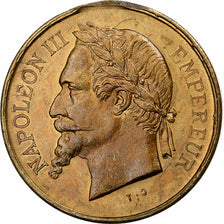 Francia, medaglia, MORT DE NAPOLÉON III, 1873, Ottone, SPL-