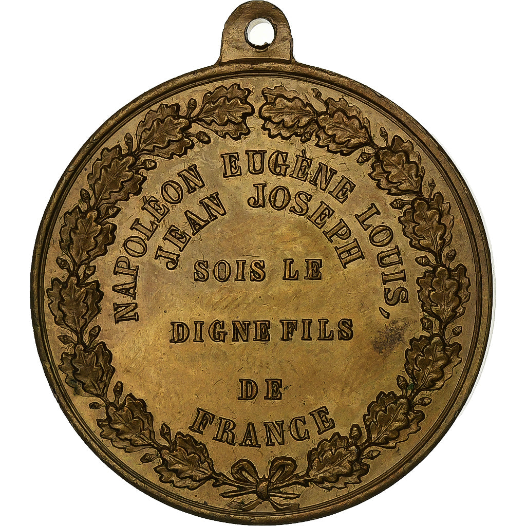 France, Medal, Napoléon Eugène Louis, Prince Impérial, Brass, AU(55-58)
