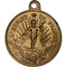 Frankreich, Medaille, Napoléon Eugène Louis, Prince Impérial, 1856, Messing