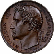 France, Medal, Napoléon III, Election et proclamation de l'Empire, 1852