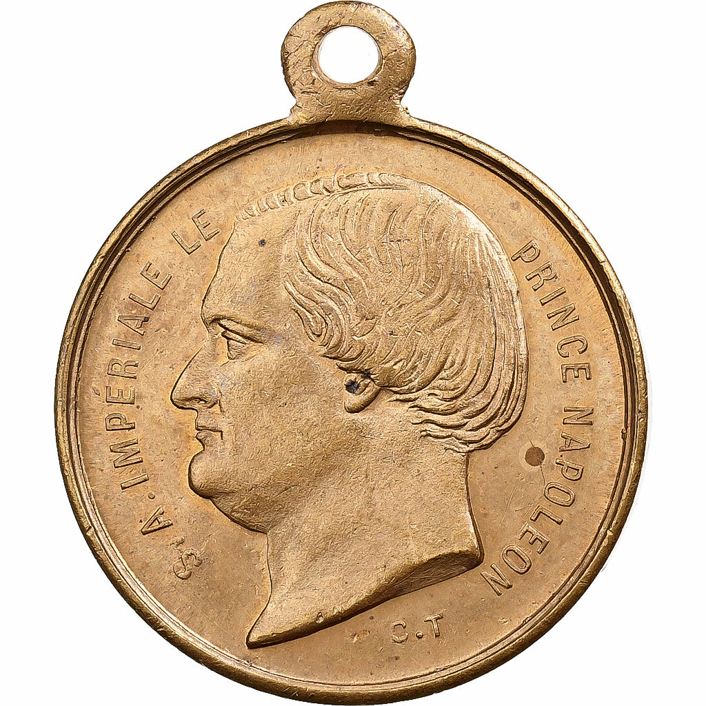 France, Médaille, Mariage du Prince Napoléon et Clotilde de Savoie, Laiton