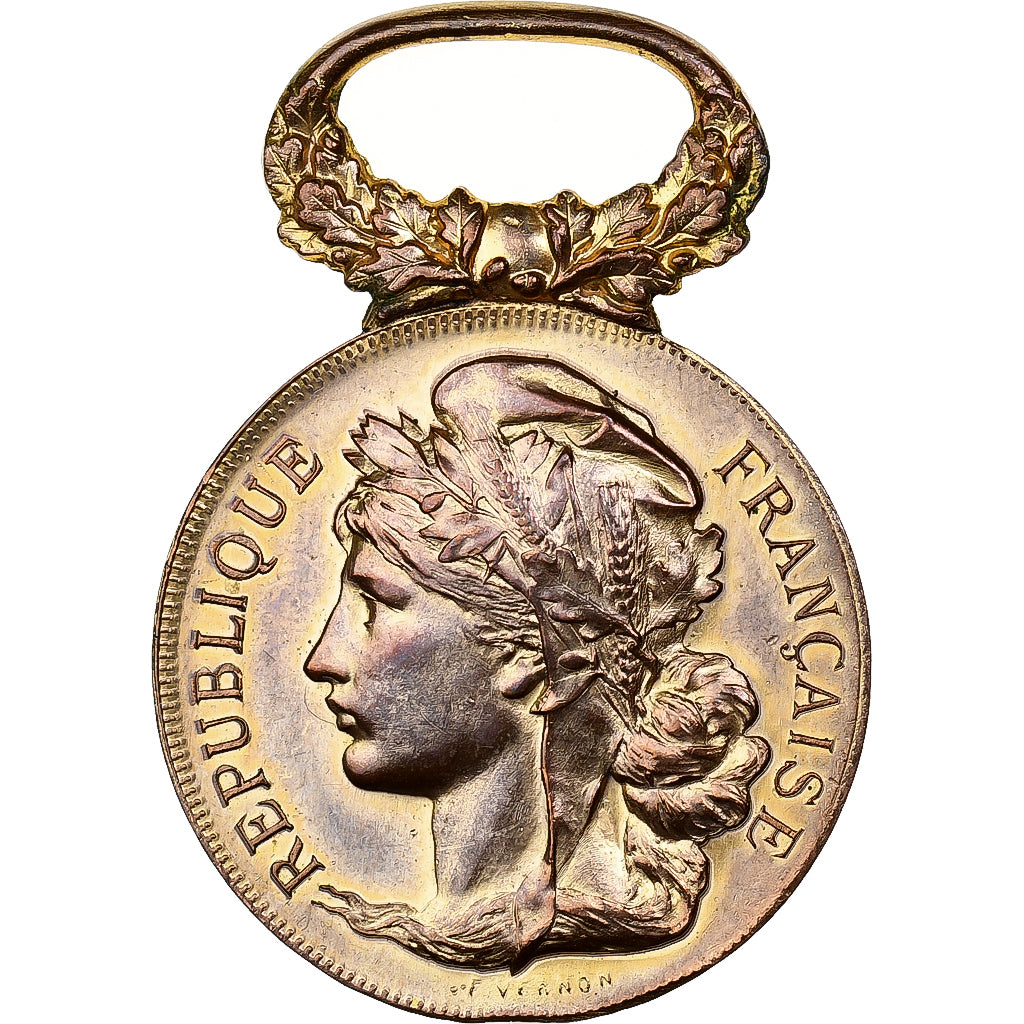 Francja, Société Nationale d'Encouragement au bien, medal, Doskonała