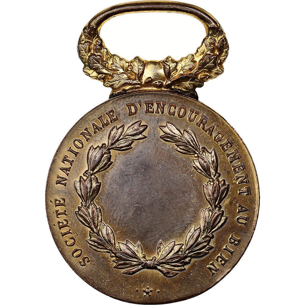 Francja, Société Nationale d'Encouragement au bien, medal, Doskonała