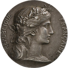 França, medalha, Lycée de Carcassonne, Prata, Dupuis.D, AU(55-58)