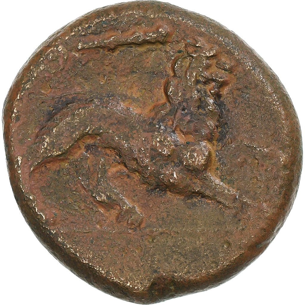 Sicile, Agathocle de Syracuse, Litra, 317-289 BC, Syracuse, Bronze, TTB+