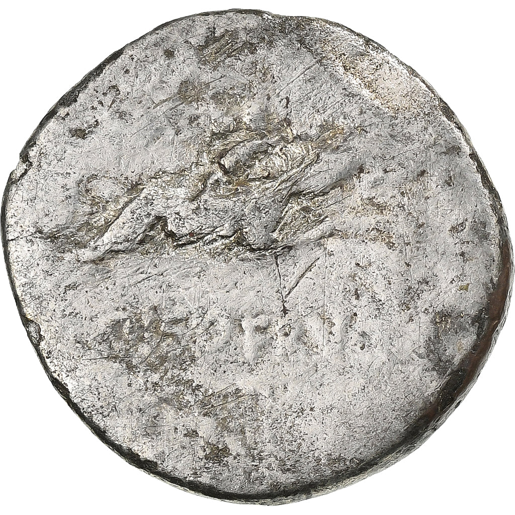 Calpurnia, Denarius, 1st century BC - 1st century AD, Contemporary forgery