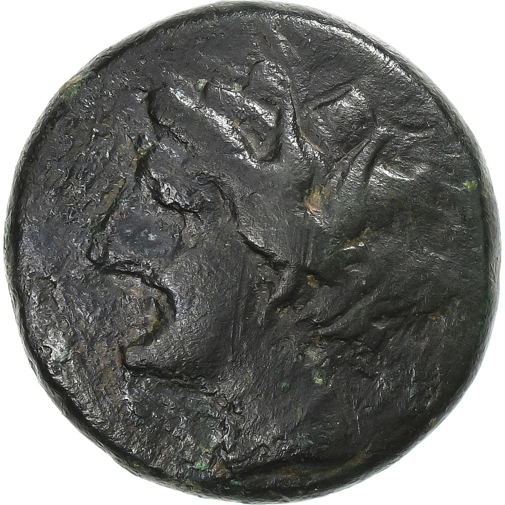 Sycylia, Hieron II, Æ Unit, ca. 275-215 BC, Syracuse, Brązowy, VF(30-35)