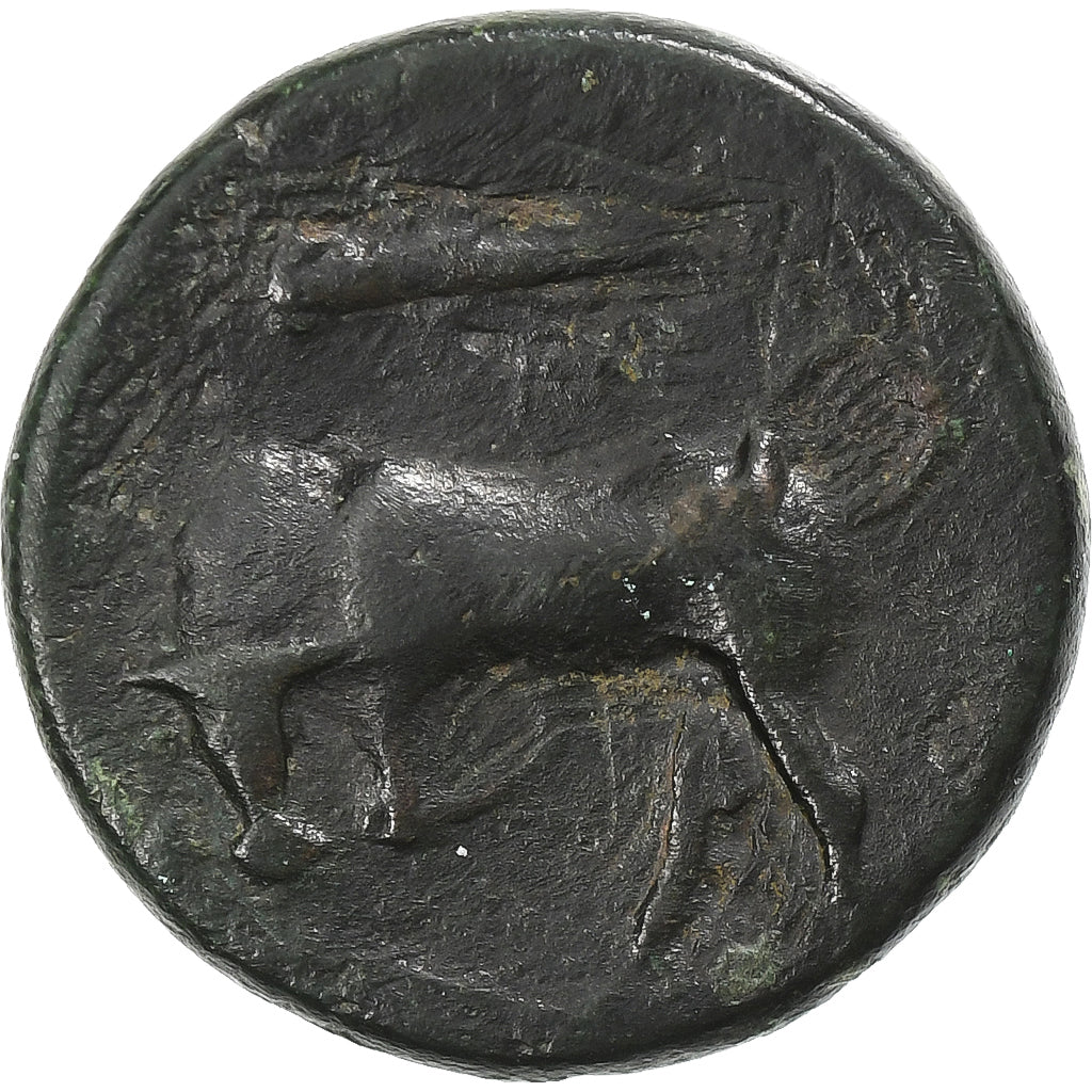 Sycylia, Hieron II, Æ Unit, ca. 275-215 BC, Syracuse, Brązowy, VF(30-35)