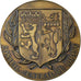 Francia, medaglia, Conseil Général du Rhône, 1985, Bronzo, SPL