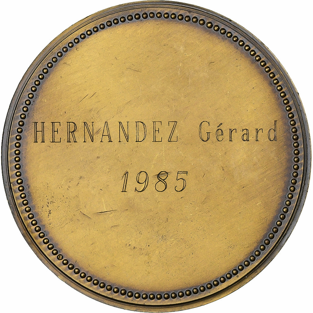 Francia, medaglia, Conseil Général du Rhône, 1985, Bronzo, SPL