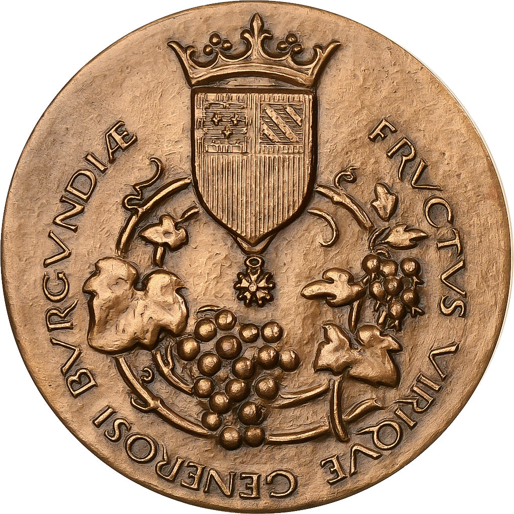 Frankrijk, Medaille, Ville de Dijon, 1985, Bronzen, A. Guzman, PR+