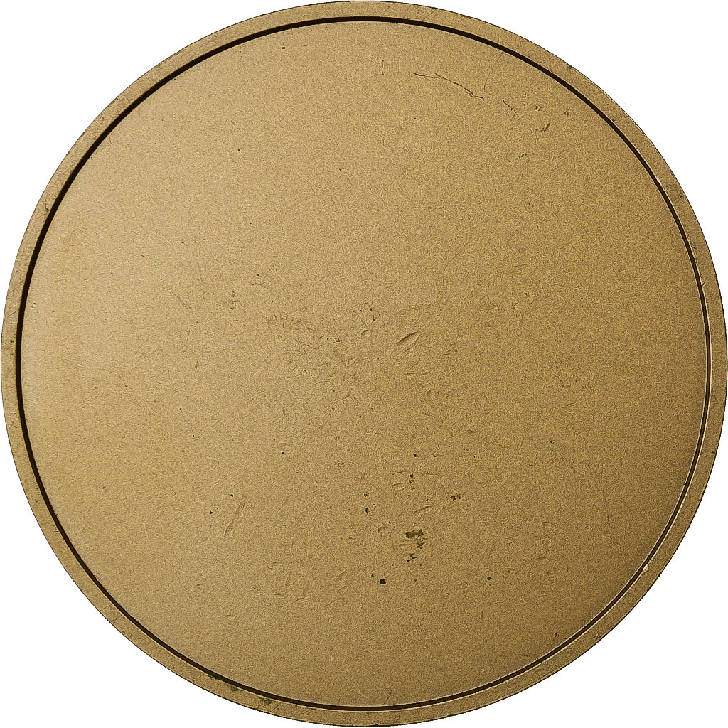 Francia, medaglia, Calendrier, Spirale, 2000, Bronzo, SPL