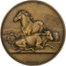 Francia, medalla, Agriculture, 1949, Bronce, Alphée Dubois, EBC