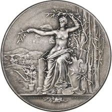 France, Medal, Société d'Agriculture d'Yvetot, 1899, Silver, Desaide
