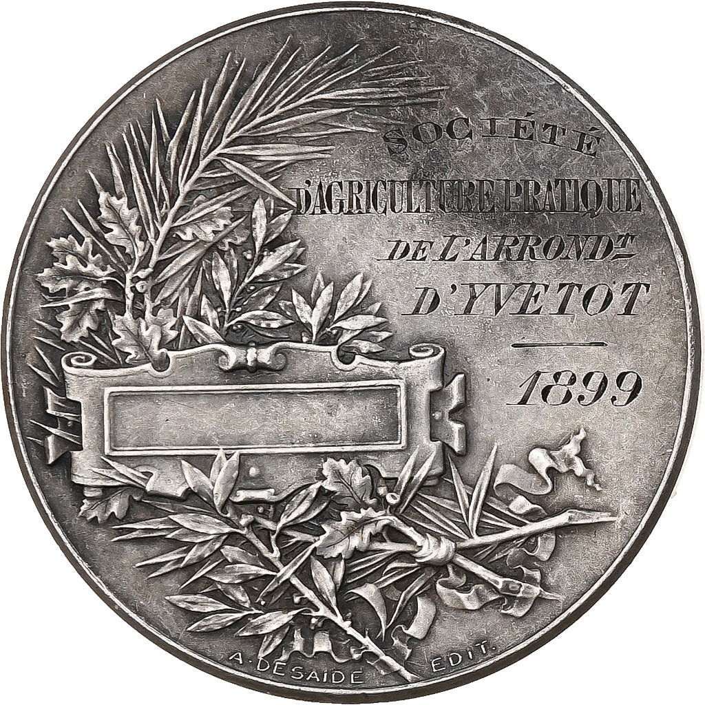 France, Medal, Société d'Agriculture d'Yvetot, 1899, Silver, Desaide