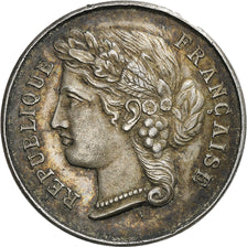 France, Médaille, Comice Agricole de Chinon, Indre-et-Loire, n.d., Argent, SUP