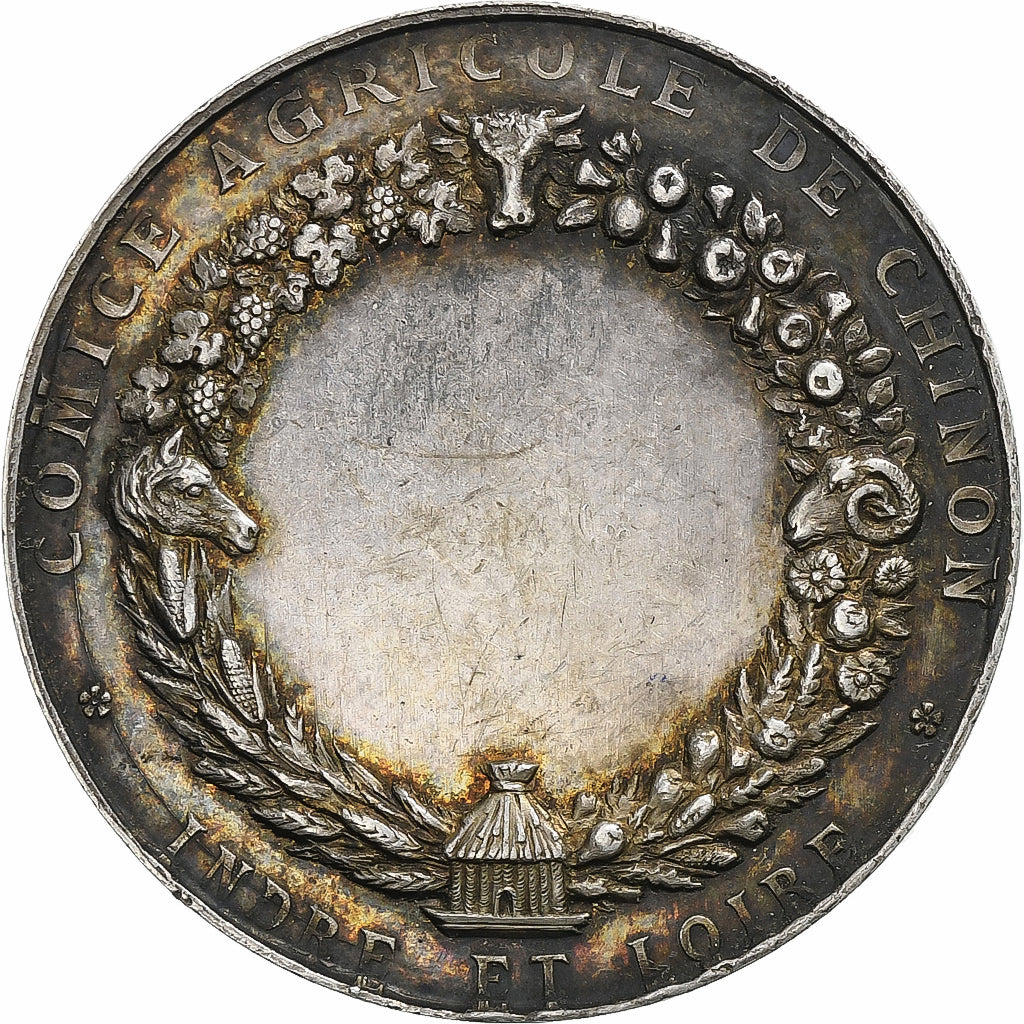 France, Médaille, Comice Agricole de Chinon, Indre-et-Loire, n.d., Argent, SUP