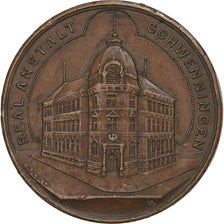 Germany, Medal, Real anstalt Schwenningen, 1902, Copper, AU(50-53)