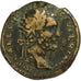 Septimius Severus, Dupondius, 193, Rome, Bronze, VF(30-35), RIC:659