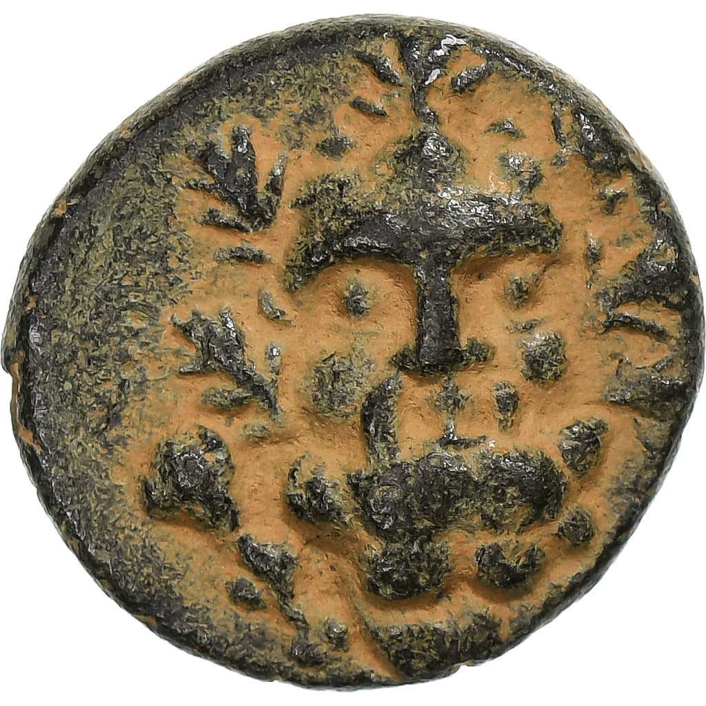 Pisidia, Æ Unit, 2nd-1st century BC, Selge, Bronze, SS