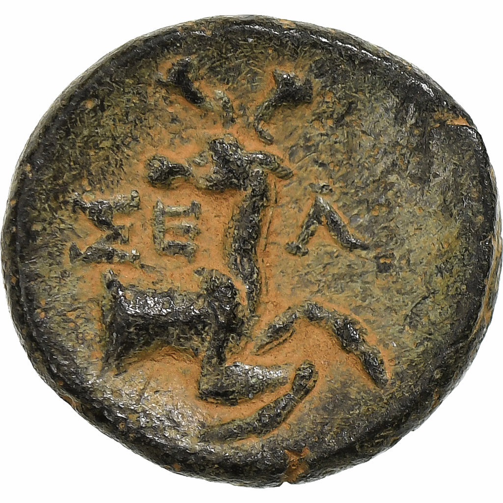 Pisidia, Æ Unit, 2nd-1st century BC, Selge, Bronze, SS