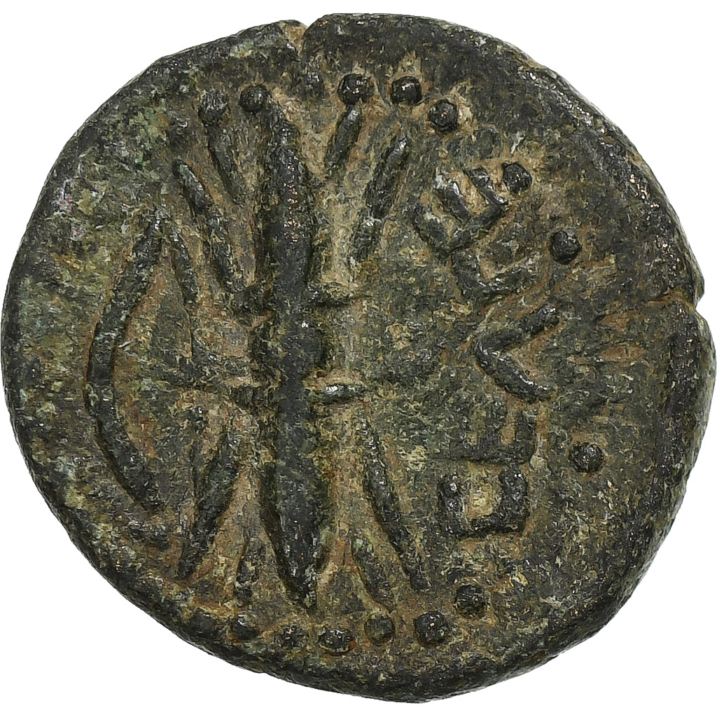 Pisidia, Æ Unit, 2nd-1st century BC, Selge, Bronze, SS+, SNG-France:1998