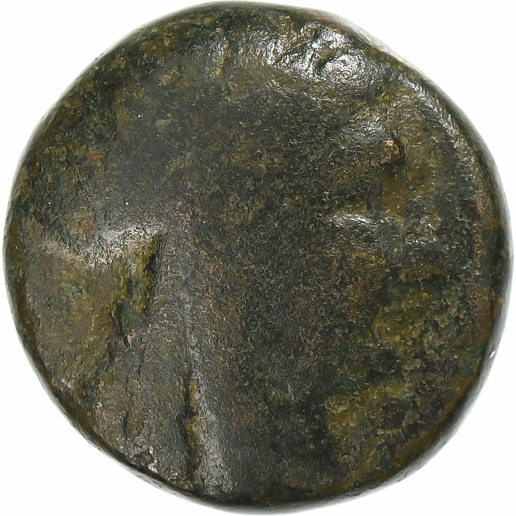 Seleucydzi, Antiochos III, Æ Unit, 222-187 BC, Sardis, Brązowy, F(12-15)