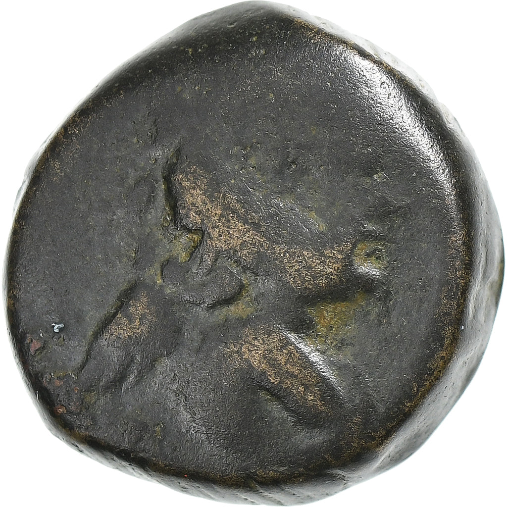 Seleucidische Rijk, Antiochos VII, Æ Unit, 138-129 BC, Antioch, Bronzen, FR