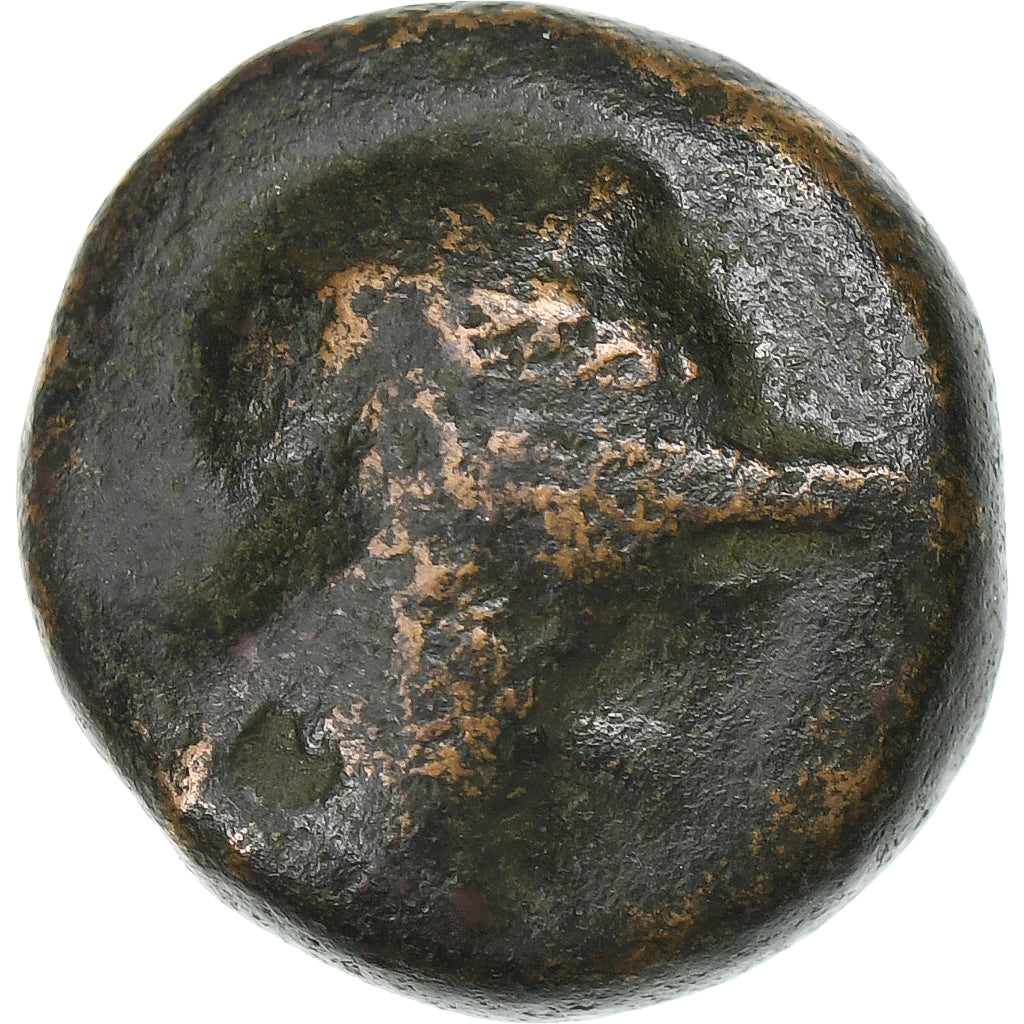 Mysië, Philetairos, Æ Unit, ca. 214-133 BC, Pergamon, Bronzen, FR