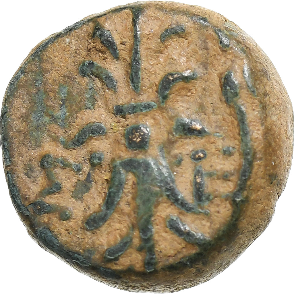 Pisidia, Æ Unit, 2nd-1st century BC, Selge, Bronze, SS+