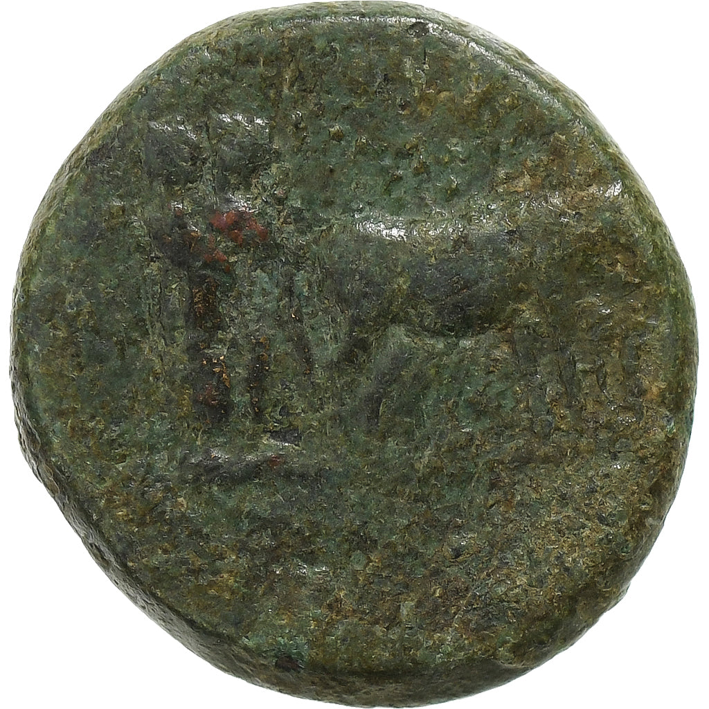 Troas, Auguste, Æ Unit, 27 BC-AD 14, Alexandria, Bronze, S+, RPC:I-1656