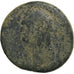 Cilicia, Domitian with Domitia, Tetrassarion, 94-95, Mopsos, Bronze, F(12-15)