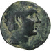 Cilicia, Pompey 'The Great', Æ Unit, ca. 66-27 BC, Soloi-Pompeiopolis, Bronze