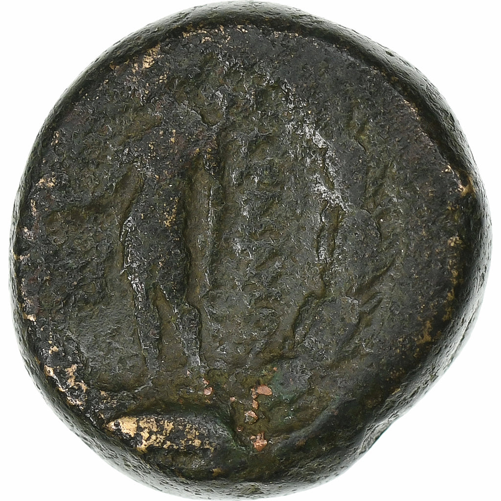 Lydie, Æ Unit, Vers 200-30 av. J.C, Sardes, Bronze, B+