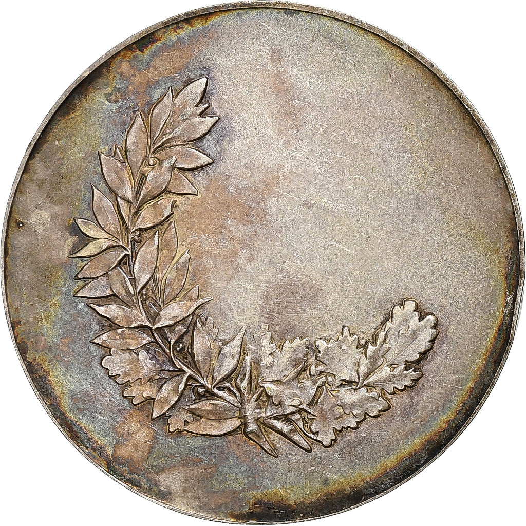 France, Medal, Ville d'Arras, n.d., Silvered bronze, AU(55-58)