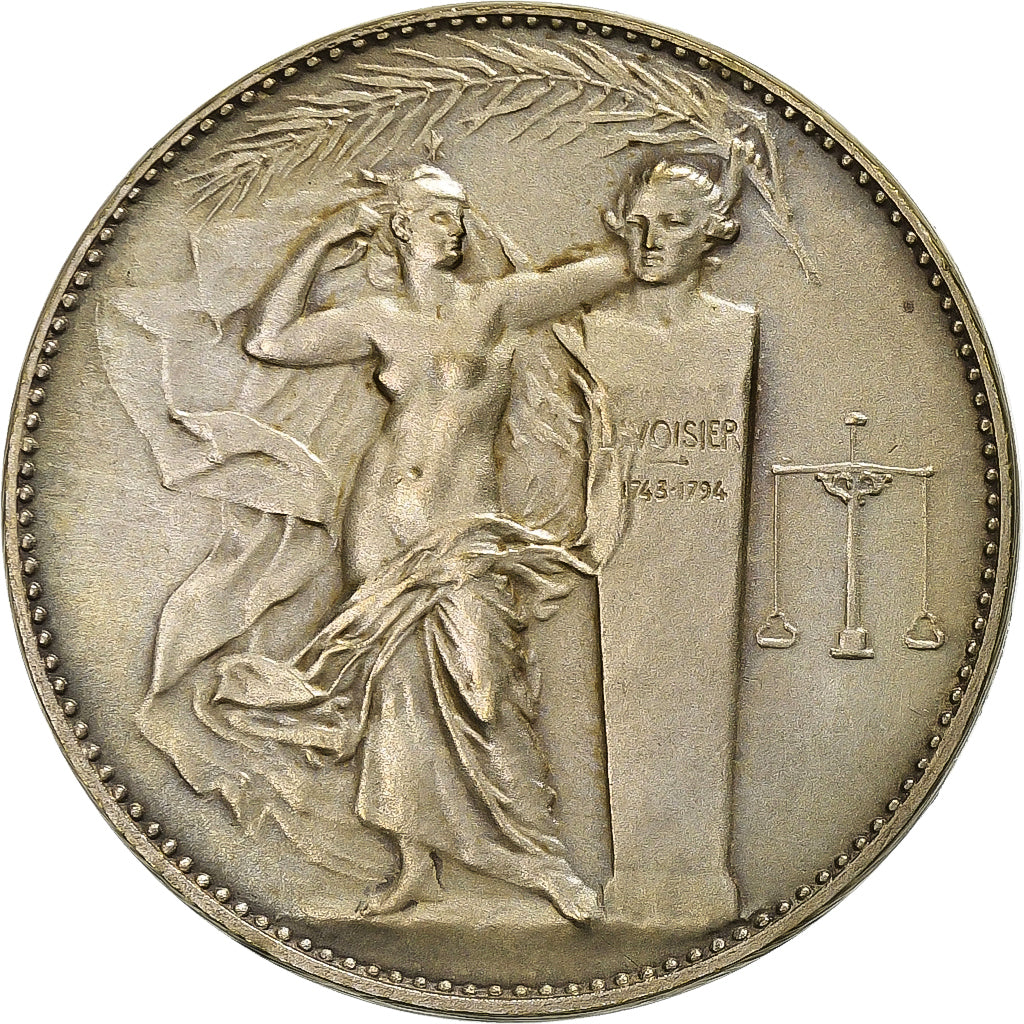 Francia, medaglia, Union des Industries Chimiques, 1961, Bronzo argentato, SPL-