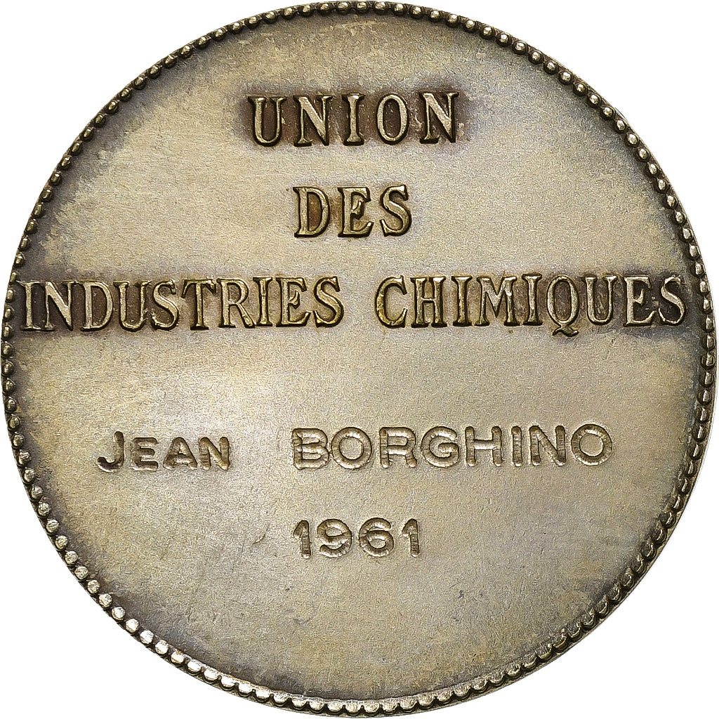 Francia, medaglia, Union des Industries Chimiques, 1961, Bronzo argentato, SPL-