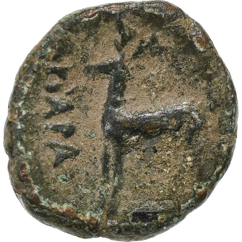 Cappadocia, Ariarathes X, Æ Unit, 42-36 BC, Bronze, VF(20-25), HGC:7-856