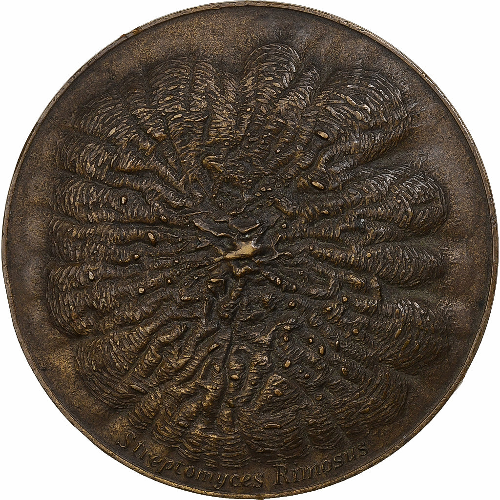 Francia, medalla, Streptomyces Rimosus, n.d., Bronce, EBC+