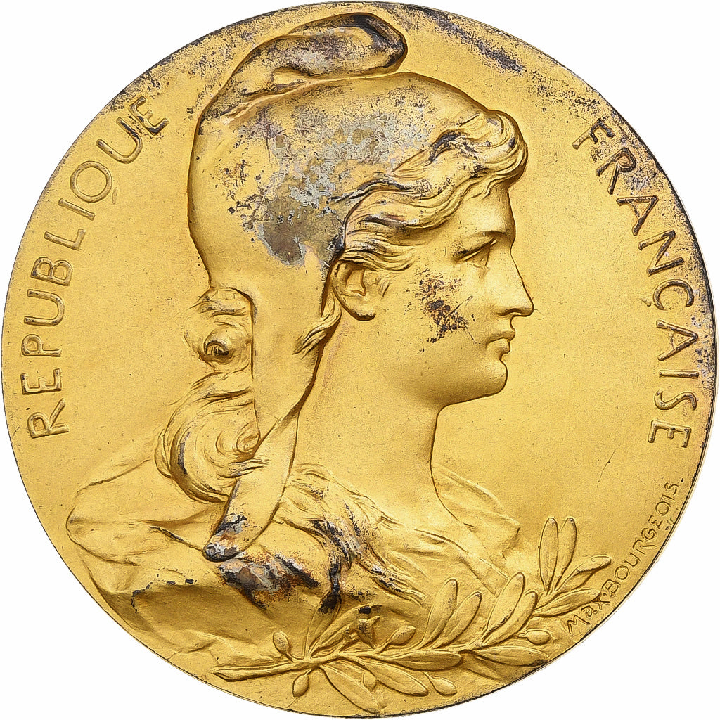 France, Medal, Sénat, élection de Achille-Joseph Bernot (Somme), 1900, Gilt