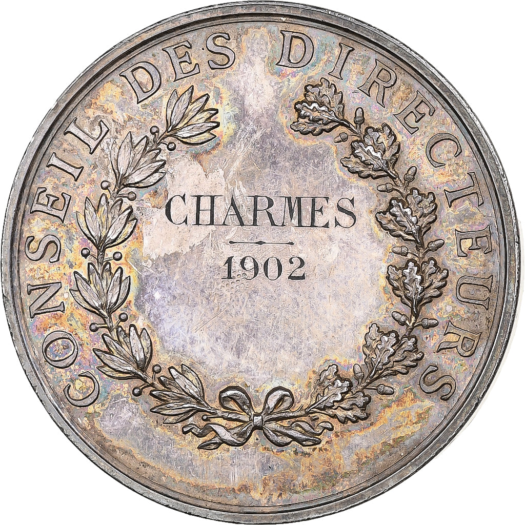 Francia, medaglia, Caisse d'Épargne Mirecourt, 1902, Argento, SPL-