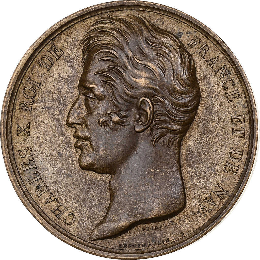Francia, medalla, Charles X, Visite de Troyes, 1828, Bronce