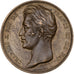 Francia, medalla, Charles X, Visite de Troyes, 1828, Bronce
