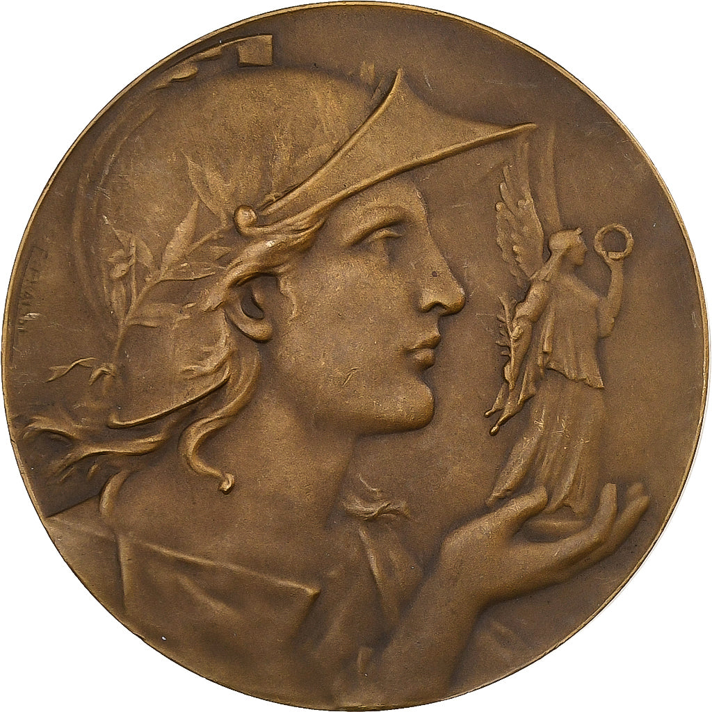 France, Médaille, Journal L'Intransigeant, n.d., Bronze, SUP, Fraisse