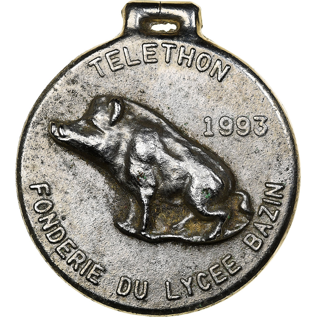 Francia, medaglia, Sanglier, Téléthon, Lycée Bazin, 1993, Acciaio, SPL-