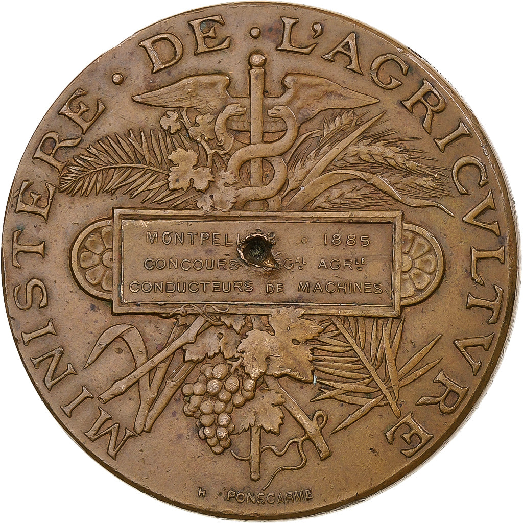 Francia, medaglia, Concours Régional Agricole, Montpellier, 1885, Bronzo