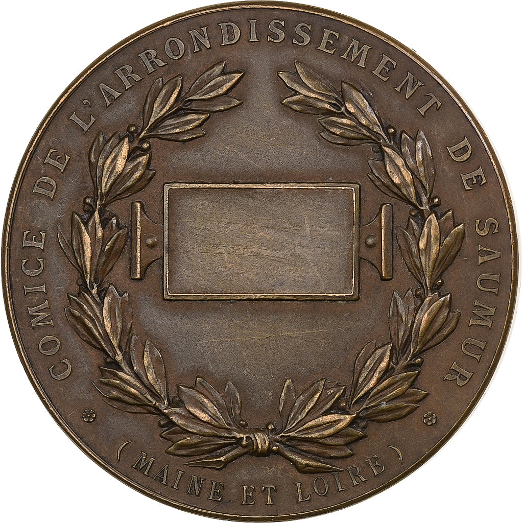 França, medalha, Comice Agricole de Saumur, n.d., Bronze, Patriarche, AU(50-53)